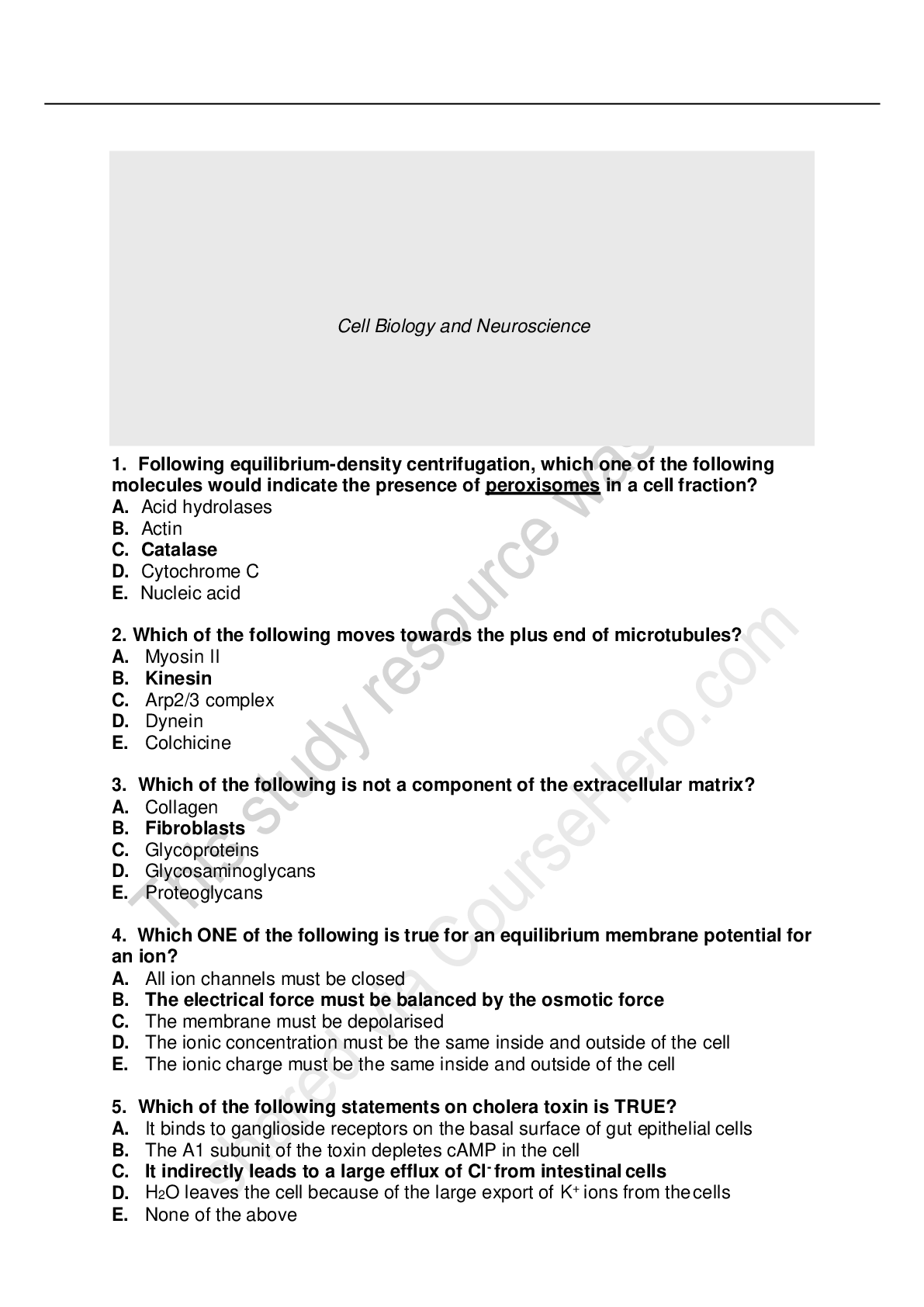 document-preview
